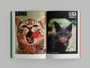 MORE THAN CAT FOOD, Alberto Vieceli