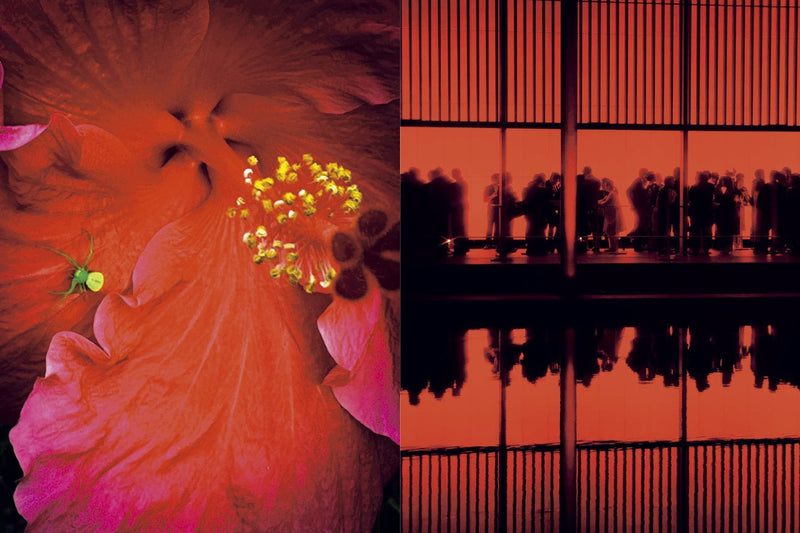 Mika Ninagawa: Eternity in a Moment, Volume 1