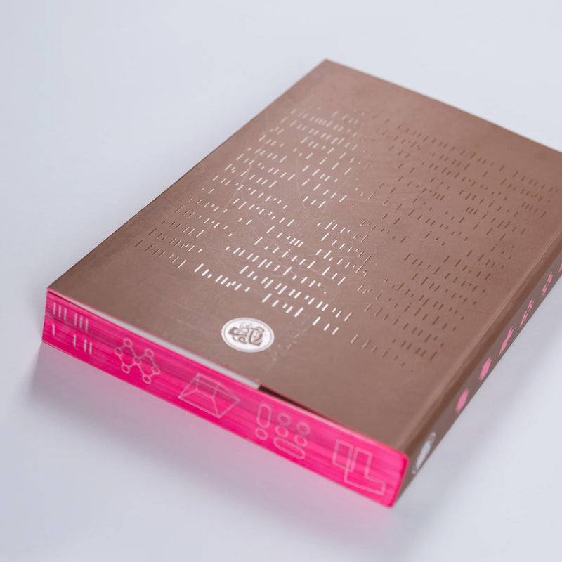 Process: A Novel