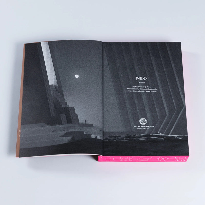Process: A Novel