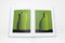 Readymade: Shinichi Kaneko Photographs