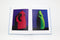Readymade: Shinichi Kaneko Photographs