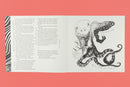 Slow Earth Companion: Rooted Wayfinding in Fragmentary Times