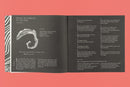 Slow Earth Companion: Rooted Wayfinding in Fragmentary Times