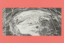 Slow Earth Companion: Rooted Wayfinding in Fragmentary Times