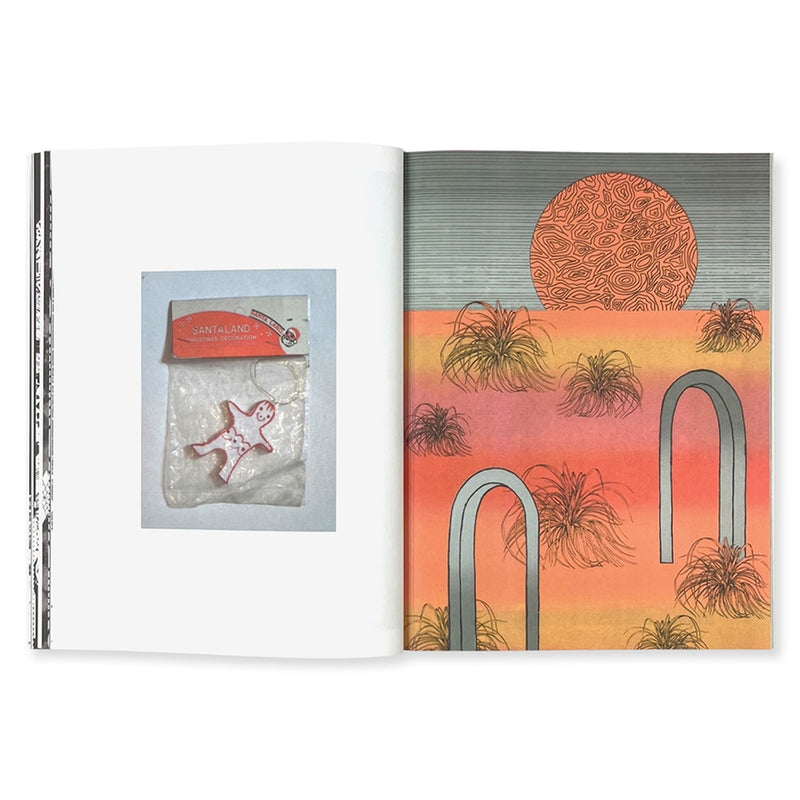 The Collected Series Alicia's Klassic Kool Shoppe, Alicia Nauta