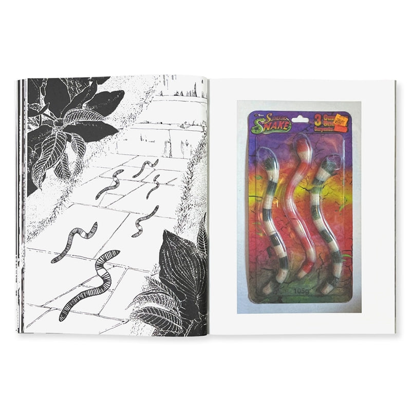 The Collected Series Alicia's Klassic Kool Shoppe, Alicia Nauta