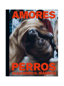 Amores Perros, Alejandro G. Iñárritu