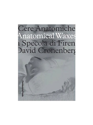 Anatomical Waxes: The Specola of Florence