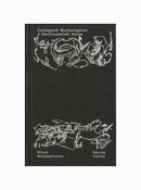 Collapsed Mythologies: A Geofinancial Atlas