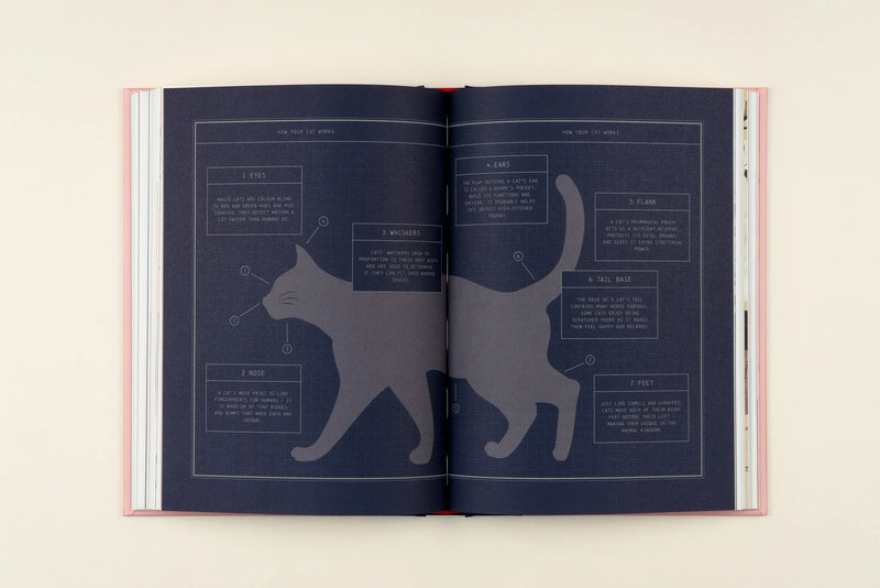 Felinity: An Anthology of Illustrated Cats from around the World