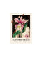 The Flower Oracle
