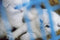 Mika Ninagawa: Eternity in a Moment, Volume 1