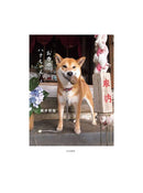 Hana-Chan of the Temple
