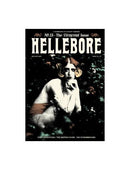 Hellebore Magazine