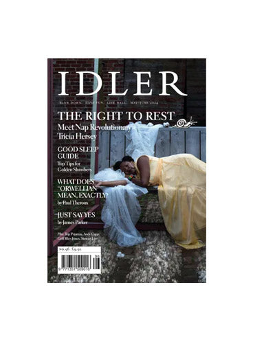 Idler