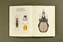 Insectile Inspiration: Insects in Art and Illustration