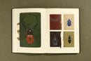 Insectile Inspiration: Insects in Art and Illustration