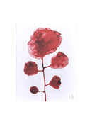 Les Fleurs, Louise Bourgeois