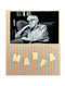 MARFA
