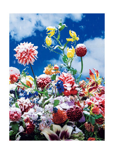 Mika Ninagawa: Eternity in a Moment, Volume 1