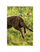 Salvage