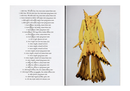 Dirty Looks: Desire and Decay in Fashion