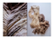 Dirty Looks: Desire and Decay in Fashion