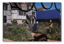 Even as a Shadow, Even as a Dream: Chloé Zhao, Jessie Buckley, Agata Grzybowska