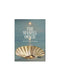 The Seashell Oracle