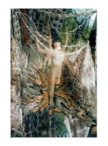 Synthesis, Mari Katayam