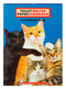 Toilet Paper Calendar 2026