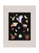 The Marble, David Brandon Geeting