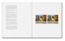 The Mental Image, Stephen Shore
