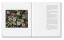 The Mental Image, Stephen Shore