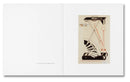 The Mental Image, Stephen Shore
