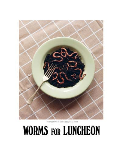 Worms for Luncheon