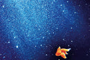 Mika Ninagawa: Eternity in a Moment, Volume 3