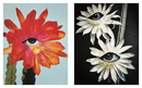 Julie Wolfe, Apophenia Volume 02: Exquisite Corpse