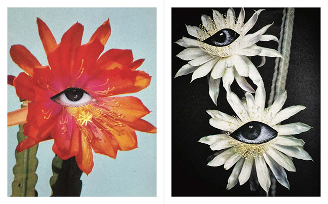 Julie Wolfe, Apophenia Volume 02: Exquisite Corpse