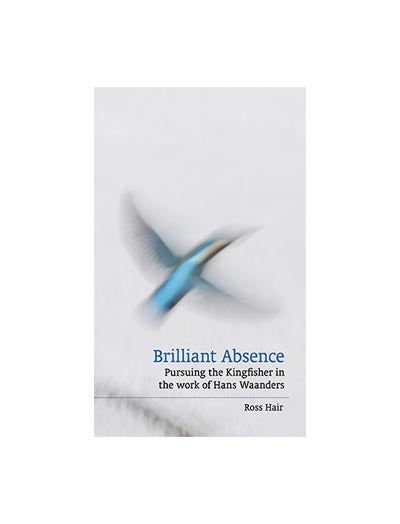 Brilliant Absence